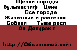 Щенки породы бульмастиф › Цена ­ 25 000 - Все города Животные и растения » Собаки   . Тыва респ.,Ак-Довурак г.